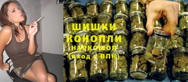крисы Аркадак