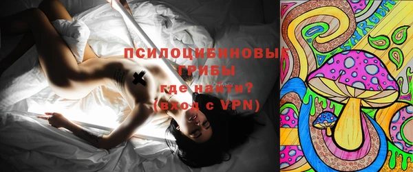 эйфоретик Алзамай
