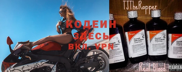гидра Арсеньев