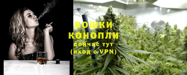 гидра Арсеньев