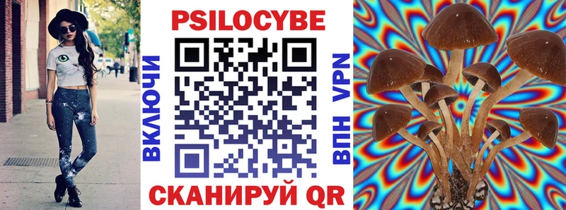 Псилоцибиновые грибы Cubensis Майкоп